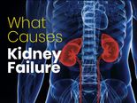 World Kidney Day 2022: What Causes Kidney Failure And How It Can Be Treated 