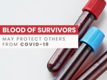 Coronavirus: Can A Survivor’s Blood Help Fight The Virus In Another?    