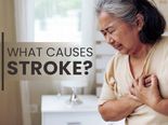 Stroke: Causes, Symptoms, Diagnosis And Treatment