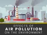 World Environment Day 2021: Harmful Effects Of Air Pollution On The Environment