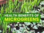 Microgreens: Nutrition, Health Benefits, Types And How To Eat