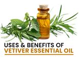 7 Amazing Health Benefits Of Vetiver Essential Oil