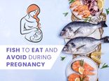 Pregnancy Seafood Guide: Fish To Eat And Avoid During Pregnancy