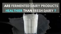 Are Fermented Dairy Products Such As Yoghurt, Curd Healthier Than Fresh Dairy? 