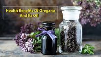 11 Health Benefits Of Oregano And Its Oil: Nutritional Profile, Uses And Side Effects