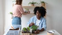 Get Your Gardening Gloves On! Here’s A List Of Easiest Vegetables To Grow Indoors In India