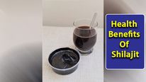 Shilajit: Know The Health Benefits And Side Effects Of This Naturally Occurring Substance From Himalayas