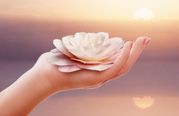Expert Article: Exploring The World Health Day 2022 Theme Through An Ayurveda Perspective