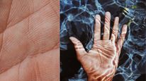 Do You Have A Trident Sign On Your Palm?