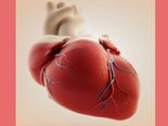World Heart Day 2022: ಹೃದಯದ ಆರೋಗ್ಯಕ್ಕಾಗಿ ಈ ಆಹಾರಗಳನ್ನು ತ್ಯಜಿಸಿ 