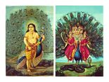 ಸುಬ್ರಹ್ಮಣ್ಯ ಸ್ತೋತ್ರ-ಶ್ರದ್ಧೆ ಭಕ್ತಿಯಿಂದ ಪಠಿಸಿದಲ್ಲಿ ಬಯಕೆಗಳು ಈಡೇರುವುದು