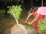 ಜನ್ಮಾಷ್ಟಮಿ ವಿಶೇಷ: ತುಳಸಿ ಕಟ್ಟೆಯ ಎದುರು ತುಪ್ಪದ ದೀಪ ಬೆಳಗಿಸಿ