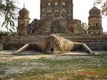 ಕೇಳಿ ಇಲ್ಲಿ! ಈ ಕಪ್ಪೆಯ ದೇಗುಲದ ಬಗ್ಗೆ ನಿಮಗೆ ಗೊತ್ತಿದೆಯಾ?