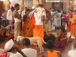 ಮೈಮೇಲೆ ಬಂದು ಆವರಿಸುವ ಭೂತ-ಪ್ರೇತಾತ್ಮ ಓಡಿಸುವ ದೇವಾಲಯಗಳು!