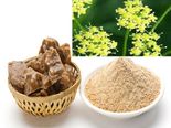 ಇಂಗು: ಏನಿದು, ಎಲ್ಲಿಂದ ಬಂತು, ಇದರ ಆಯ್ಕೆ ಹೇಗೆ? ಇಲ್ಲಿದೆ ಮಾಹಿತಿ
