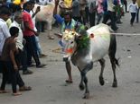 ಜೂ.24ಕ್ಕೆ ಕಾರ ಹುಣ್ಣಿಮೆ: ಸಾಂಸ್ಕೃತಿಕ ವೈಶಿಷ್ಟ್ಯ ಇರುವ ಈ ದಿನದ ವಿಶೇಷವೇನು? 