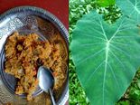ಕೆಸುವಿನ ಎಲೆ: ಪತ್ರೊಡೆ ತಿಂದ್ರೆ  ಇಷ್ಟೆಲ್ಲಾ  ಪ್ರಯೋಜನಗಳಿವೆ