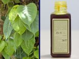 Beauty tips: ಕೇರಳಿಗರ ಹೊಳೆಯುವ ತ್ವಚೆಯ ಸೀಕ್ರೆಟ್‌ ನಲ್ಪಮರಡಿ ತೈಲದ ಬಗ್ಗೆ ನಿಮಗೆಷ್ಟು ಗೊತ್ತು? 