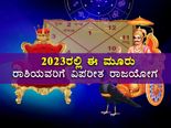 ಜ. 17ರ ಶನಿ ಸಂಚಾರದಿಂದ ಸೃಷ್ಟಿಯಾಗಲಿದೆ ವಿಪರೀತ ರಾಜಯೋಗ: ಈ 3 ರಾಶಿಯವರು  ಸಾಕಷ್ಟು ಹಣ ಗಳಿಸಲಿದ್ದಾರೆ