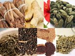 உடல் எடையைக் குறைக்கும் 20 மூலிகைகள்!!!