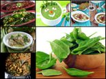 இரும்புச்சத்து அதிகம் நிறைந்த சில பசலைக்கீரை ரெசிபிக்கள்!!