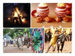 Pongal 2020: பலருக்கு தெரியாத பொங்கல் பண்டிகையின் வரலாறு!