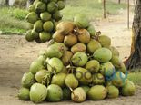 கோடையில் தினமும் இளநீர் குடிப்பதன் மூலம் பெறும் நன்மைகள்!!!