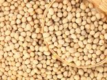 முட்டையை விட அதிக புரோட்டீன் கொண்ட உணவுப் பொருட்கள்!!!