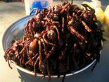 உலகில் உள்ள அருவெறுக்கத்தக்க சில விசித்திரமான உணவுகள்!!!