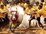 Pongal 2020: ஜல்லிக்கட்டு பற்றி பலரும் அறியாத வரலாற்று உண்மைகள்!