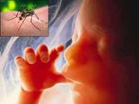 ஜிக்கா வைரஸ்க்கு மருந்து கண்டுப்பிடித்துவிட்டதா சீனா? 