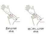 உங்க கையளவு உங்களைப் பற்றி என்ன சொல்கிறது என்று தெரிந்து கொள்ள வேண்டுமா?