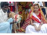 இந்தியாவில் நடந்த 10 விசித்திரமான திருமணங்கள்!
