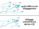இவ்வகை உணவுகள் எப்படி உங்கள் விந்தணு எண்ணிக்கையை குறைக்கின்றன என தெரியுமா?