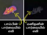 மனிதர்களால் இந்த 7 படங்களை வெறும் கண்களில் காண இயலாது!