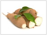  அரிய பலன்கள் தரும்  மரவள்ளிக் கிழங்கின் நன்மைகள்!!