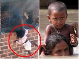 தாயன்பை விட இந்த உலகில் சிறந்தது ஏதும் இல்லை என்பதை விளக்கும் புகைப்பட தொகுப்பு!
