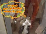 ஒரு நிமிஷம் தலை சுற்ற வைக்கும் கோக்குமாக்கான 10 புகைப்படங்கள்!