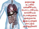 உடலில் மக்னீசியம், பொட்டாசியம், கால்சியம் குறைவாக இருப்பதைக் காட்டும் அறிகுறிகள்!