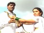 மாலைக்கு பதிலாக பாம்பு மாற்றி திருமணம் செய்துக் கொண்ட புதுமண தம்பதி - (வீடியோ)