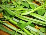 முறிந்த எலும்பையும் வேகமாக இணைத்து வைக்கும் பிரண்டை 