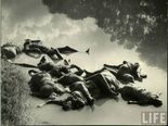 1947 இந்தியா - பாக்., பிரிவின் போது எடுக்கப்பட்ட மனதை உலுக்கும் புகைப்படங்கள்!