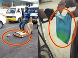 2.O மட்டுமில்ல, இத பார்த்தாலும் வாய் பிளந்து போய்டுவீங்க - # Funny Photos