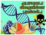 விதைகள் இல்லாத பழங்கள் சாப்பிட்டால் மரண பிடியில் மாட்டி கொள்வீர்கள்..! திடுக்கிடும் தகவல்.!