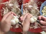 பூண்டை இப்படிகூட உரிக்கலாமா?... வைரலாகும் பூண்டு உரிக்கும் விடியோ...