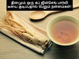 தினமும் ஒரு கப் ஜின்செங் மற்றும் பார்லி டீயை எதனால் குடிக்க வேண்டும்?