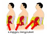 எந்த கஷ்டமும்படாம உங்க உடல் எடையை ஈஸியா குறைக்கணுமா... அப்ப இந்த விதைகள சாப்பிடுங்க...!