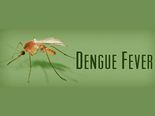 இந்த உணவுகள் டெங்குவை குணப்படுத்துவது மட்டுமின்றி அது வராமல் தடுக்கவும் உதவும்னு ஆய்வுகள் சொல்லுதாம்...! 