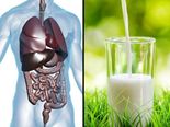 பாலில் இந்த 'ஒரு' பொருளை போட்டு 3 நாட்கள் குடிச்சா.. உடம்புல என்னென்ன அதிசயம் நடக்கும் தெரியுமா?