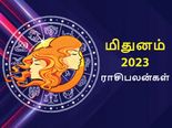 Gemini Horoscope 2023: மிதுன ராசிக்காரர்களுக்கு 2023 எப்படி இருக்க போகுது தெரியுமா? ஷாக் ஆகாதீங்க..!